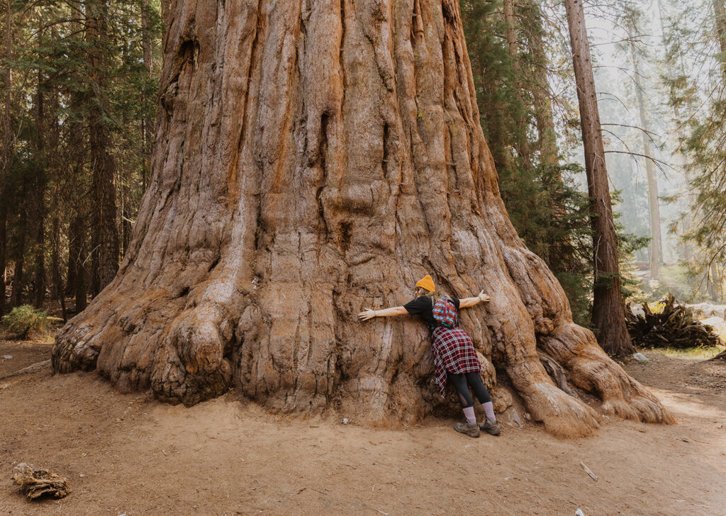 A girl hugging a tree stump in Sequoia National Park, which is one of the best national parks to elope in!